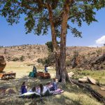Borana 2023 475.1